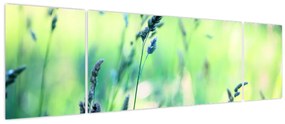 Obraz - Szczegół łąki (170x50 cm)