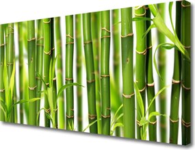 Obraz canvas Świeżość Zielonego Bambusa
