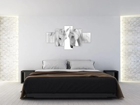 Obraz białych koni (125x70 cm)