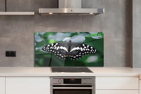 Panel Szklany Motyl na Zielonych Liściach