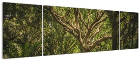 Obraz drzewa (170x50 cm)