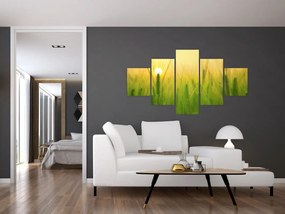 Obraz pola ze zbożem (125x70 cm)
