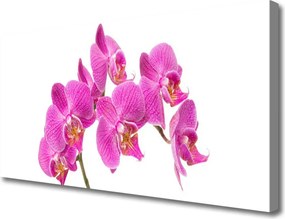 Fotoobraz na płótnie Kręta Droga przez Górską Halę