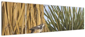 Obraz - Strzyżyk (170x50 cm)
