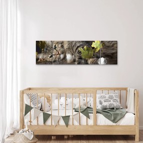 Obraz - Leżący kot (170x50 cm)
