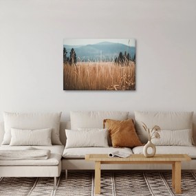 Obraz - szczegół łąki (70x50 cm)