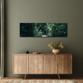 Obraz - Ścieżka przez las (170x50 cm)