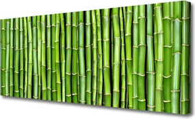 Zdjęcie na płótnie Kompozycja z Pędów Bambusa