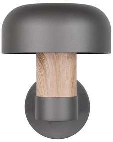 Zewnętrzna lampa ścienna (wysokość 24,5 cm) Fraser – Trio