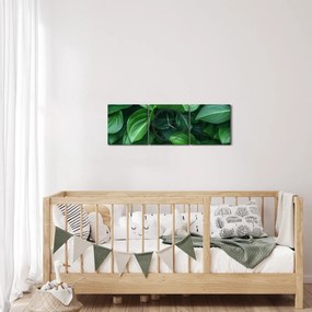 Obraz - Zielone liście (z zegarem) (90x30 cm)