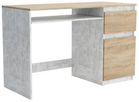 Biurko komputerowe młodzieżowe szkolne 120 cm REMI1 Beton/Dąb Sonoma
