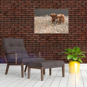 Obraz - Szkocka krowa w kwiatach (70x50 cm)