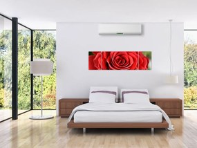 Obraz kwiatu róży (170x50 cm)
