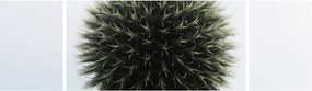 Obraz kuli kwiatowej (170x50 cm)