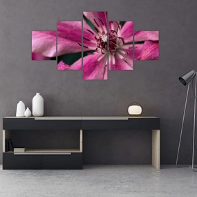 Obraz różowego kwiatu powojnika (125x70 cm)