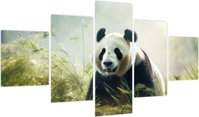 Obraz - Panda (125x70 cm)