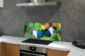 Panel Kuchenny Szklany Egzotyczny Motyl na Płatkach