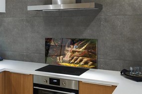 Szkło Ozdobne do Kuchni Spotkanie Dziewczynki ze Smokiem