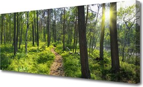 Obraz canvas Droga przez Dziki Las
