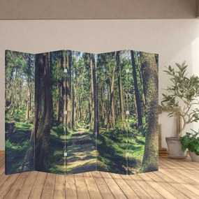 Parawan - Ścieżka wśród drzew (210x170 cm)
