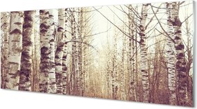 Szklany Panel Korony Drzew