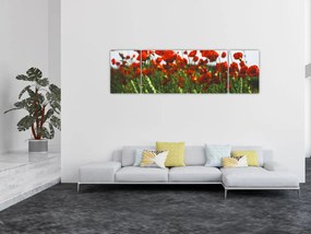 Obraz maków na wietrze (170x50 cm)