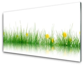 Obraz Szklany Natura Trawa Kwiaty