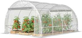 Outsunny Tunel foliowy (polytunnel), szklarnia z możliwością wejścia z ocynkowaną stalową ramą i odporną na UV pokrywą PE, przezroczysty | Aosom PL