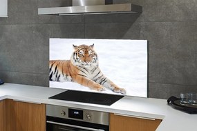 Panel szklany do Kuchni Tygrys Syberyjski w Śniegu