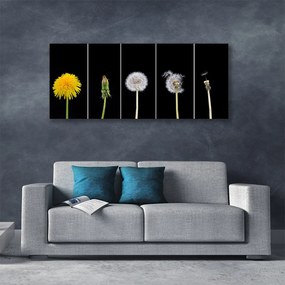 Zdjęcie na płótnie Lekkość Lata: Dmuchawiec