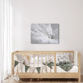 Obraz - Kropla wody (70x50 cm)
