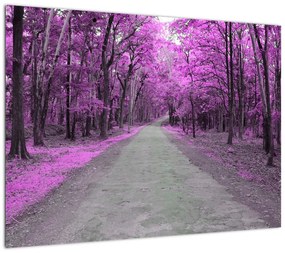 Obraz - Ścieżka przez park (70x50 cm)