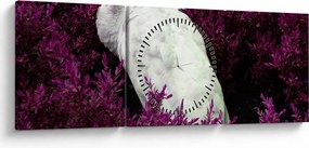 Obraz - Biały paw (z zegarem) (90x30 cm)