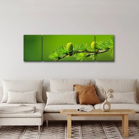 Obraz zielonej szyszki (170x50 cm)