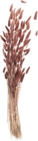 Bukiet Dmuszka 60cm dusty pink