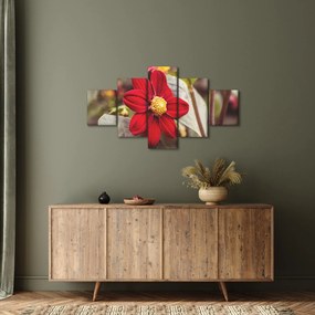 Obraz kwiatu (125x70 cm)