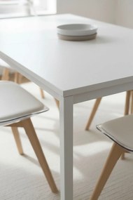 Stó prostoktny Dino 100x60 cm