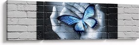 Obraz - Motyl na ścianie (170x50 cm)