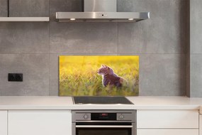 Panel szklany do Kuchni Kot w Trakcie Polowania