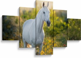 Obraz białego konia na łące (125x70 cm)
