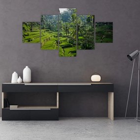 Obraz tarasów ryżowych Tegalalang, Bali (125x70 cm)