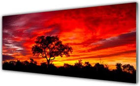 Szkło do Kuchni na Ścianę Głusza Leśnej Natury