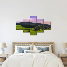 Obraz łąki (125x70 cm)