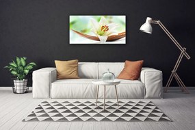 Fotoobraz na płótnie Subtelny Pąk Kwiatowy