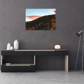 Obraz na szkle rudzików nad wzgórzem (70x50 cm)