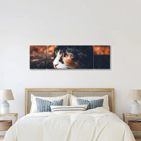 Obraz - Spojrzenie kota (170x50 cm)