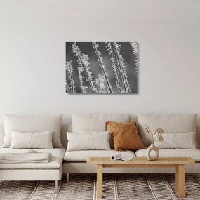 Obraz na szkle - Mroźne zimno (70x50 cm)