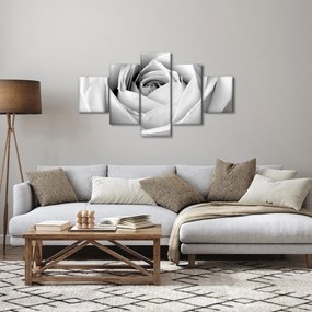Obraz - Detal kwiatu róży (125x70 cm)