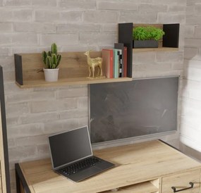 Dwupoziomowa półka ścienna w stylu loft Oriental Tree 02