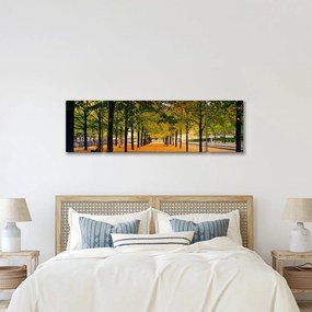 Obraz alei jesiennych drzew (170x50 cm)